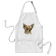 Smoothcoat Chihuahua