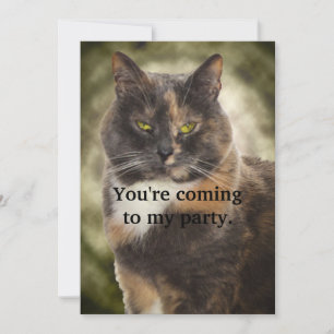 Smug Kitty - Was Will du? Einladung