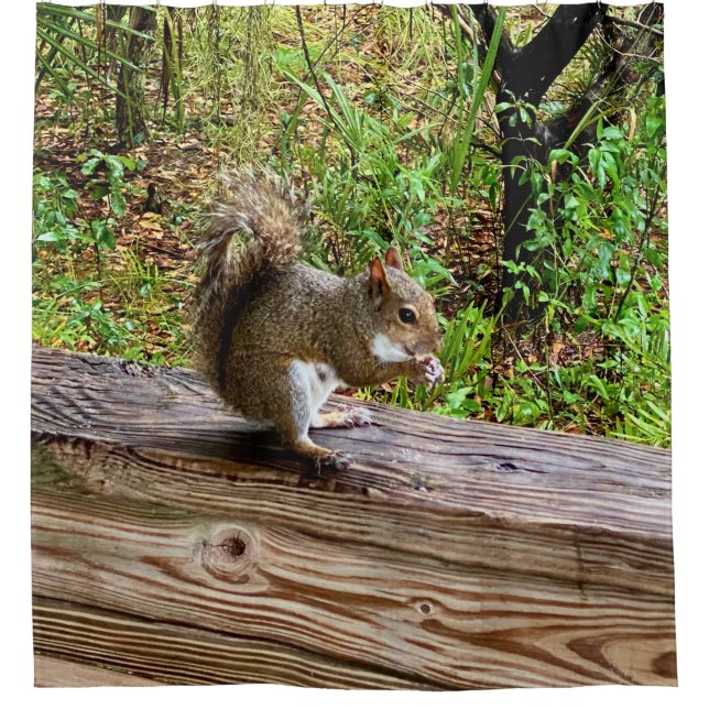 Snack Attack, A Squirrel Living His Best Life Duschvorhang (Vorderseite)
