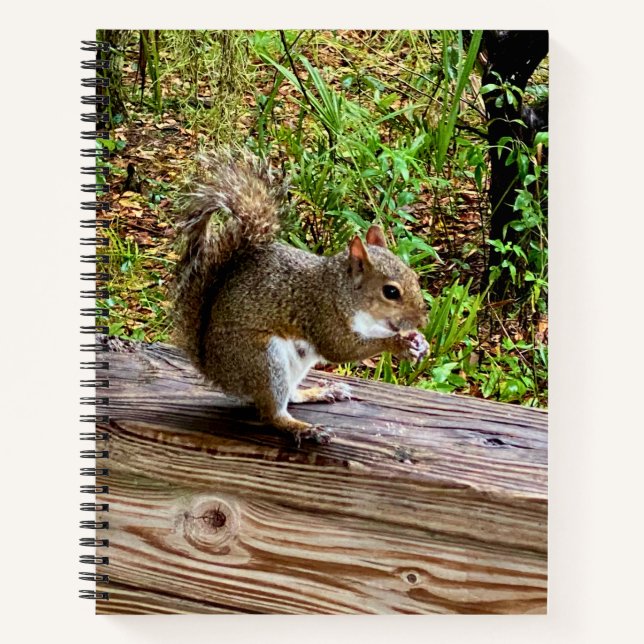 Snack Attack Notizbuch (Vorderseite)