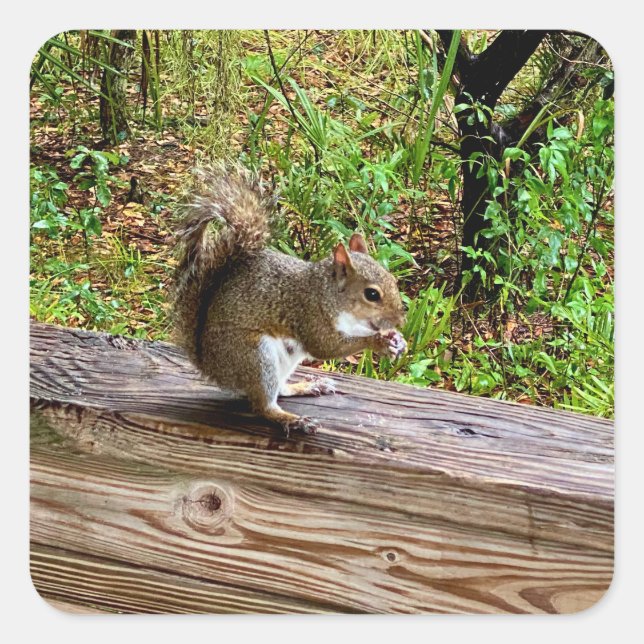 Snack Attack Quadratischer Aufkleber (Vorderseite)