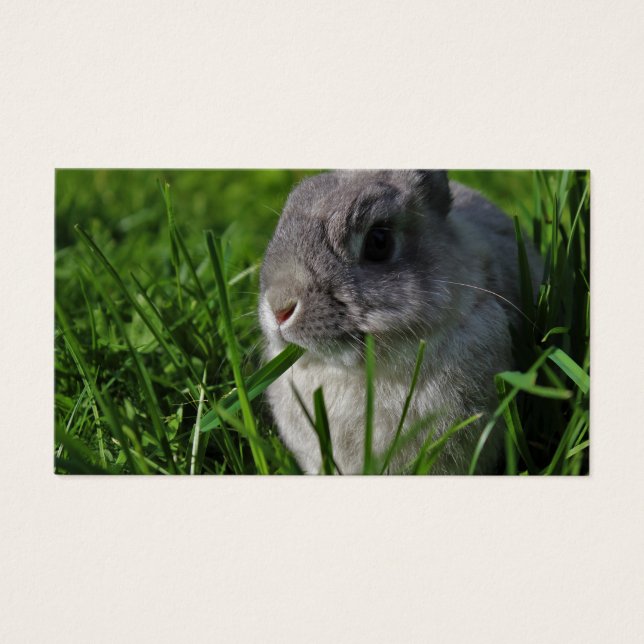 Snack Time (Vorderseite)