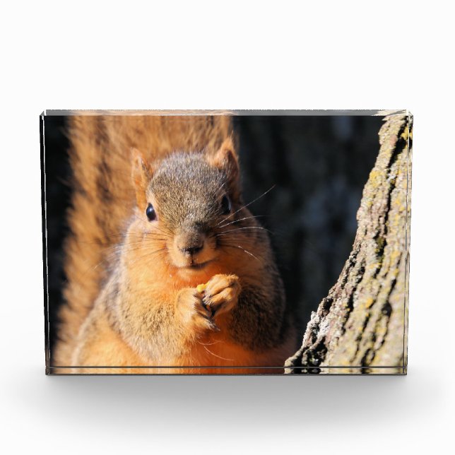 Snack-Zeit Fotoblock (Vorderseite)