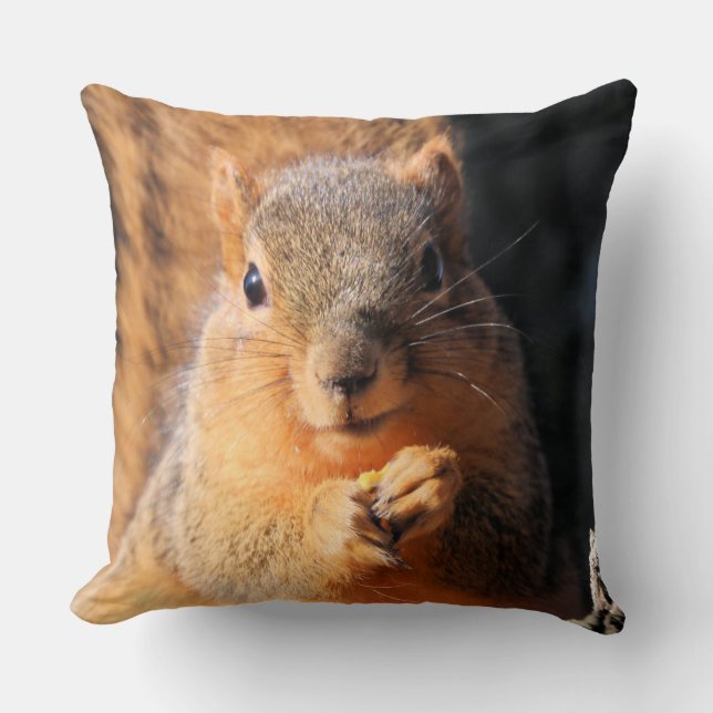 Snack-Zeit Kissen (Vorderseite)