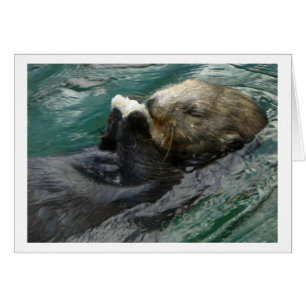 Snacking de loutre de mer
