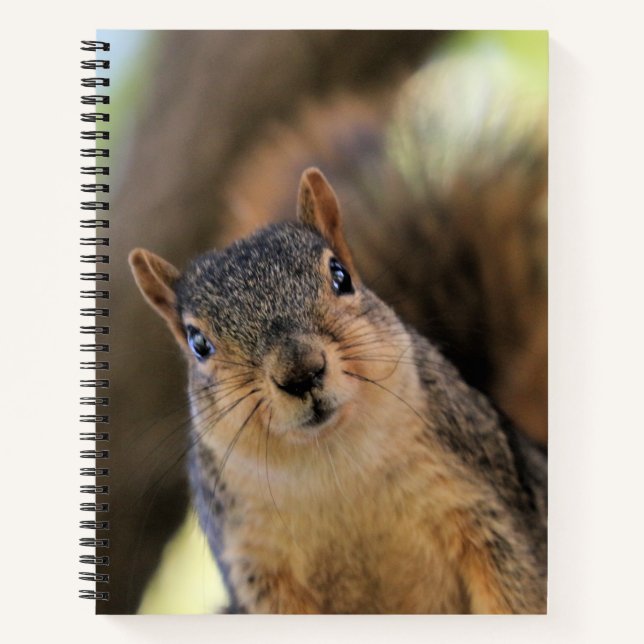 Snacks? Ich LIEBE Snacks! Notizbuch (Vorderseite)