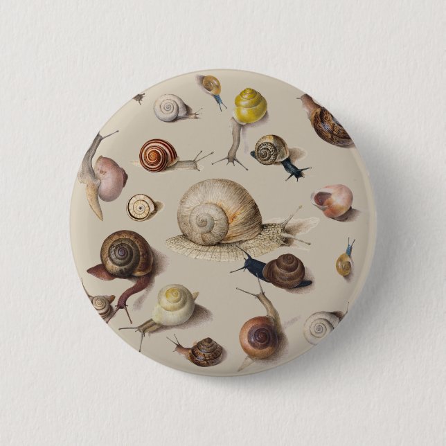 Snail Garden Haustier Gastropod Seven Lug Botanisc Button (Vorderseite)
