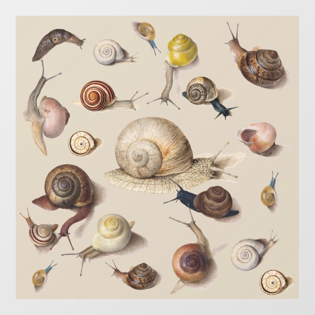 Snail Garden Haustier Gastropod Seven Lug Botanisc Fensteraufkleber (Blatt)