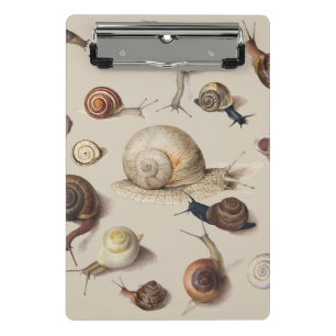 Snail Garden Haustier Gastropod Seven Lug Botanisc Mini Klemmbrett