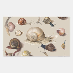 Snail Garden Haustier Gastropod Seven Lug Botanisc Rechteckiger Aufkleber