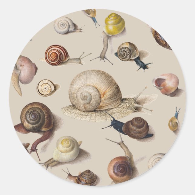 Snail Garden Haustier Gastropod Seven Lug Botanisc Runder Aufkleber (Vorderseite)