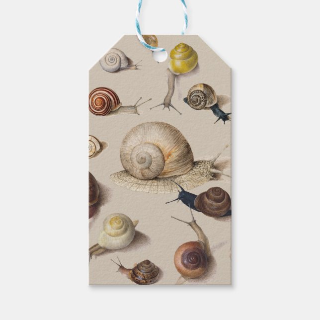 Snail Slug Garden Haustier Gastropod Botanische Sc Geschenkanhänger (Vorderseite)