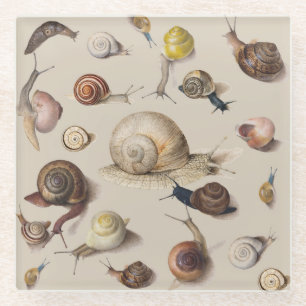 Snail Slug Garden Haustier Gastropod Botanische Sc Glasuntersetzer
