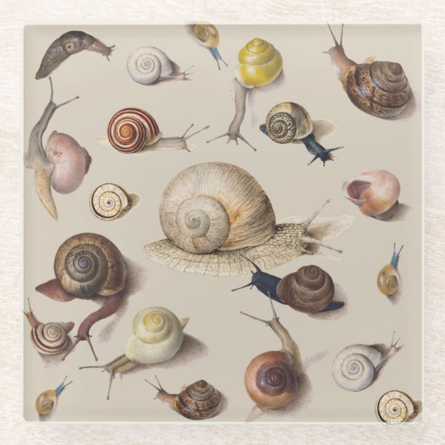 Snail Slug Garden Haustier Gastropod Botanische Sc Glasuntersetzer (Vorderseite)