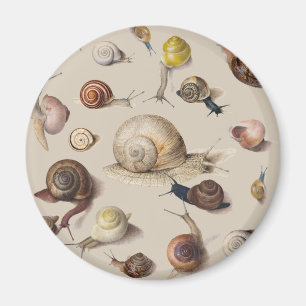 Snail Slug Garden Haustier Gastropod Botanische Sc Magnet