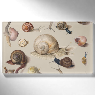 Snail Slug Garden Haustier Gastropod Botanische Sc Namenschild