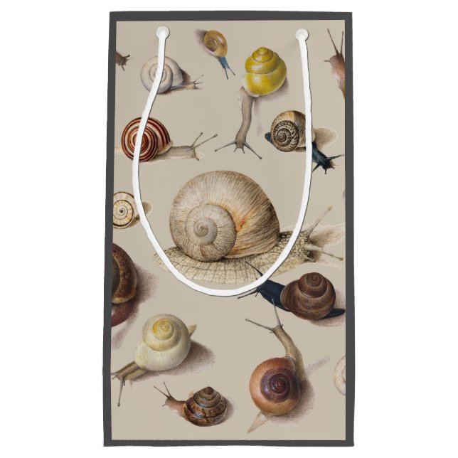 Snail Slug Garden Pet Gastropod Botanical Snails Kleine Geschenktüte (Vorderseite)