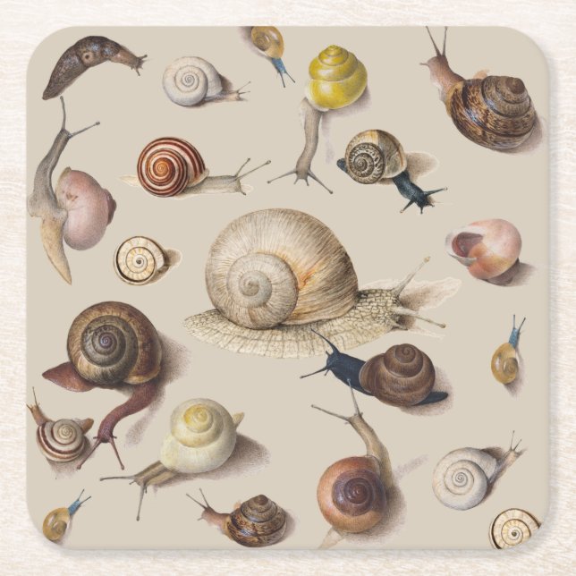 Snail Slug Garden Pet Gastropod Botanical Snails Rechteckiger Pappuntersetzer (Vorderseite)