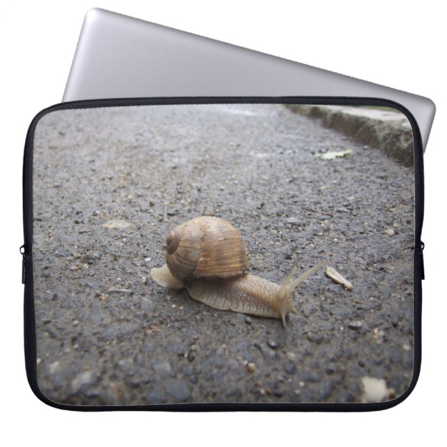 Snail Walk Laptopschutzhülle (Vorderseite)