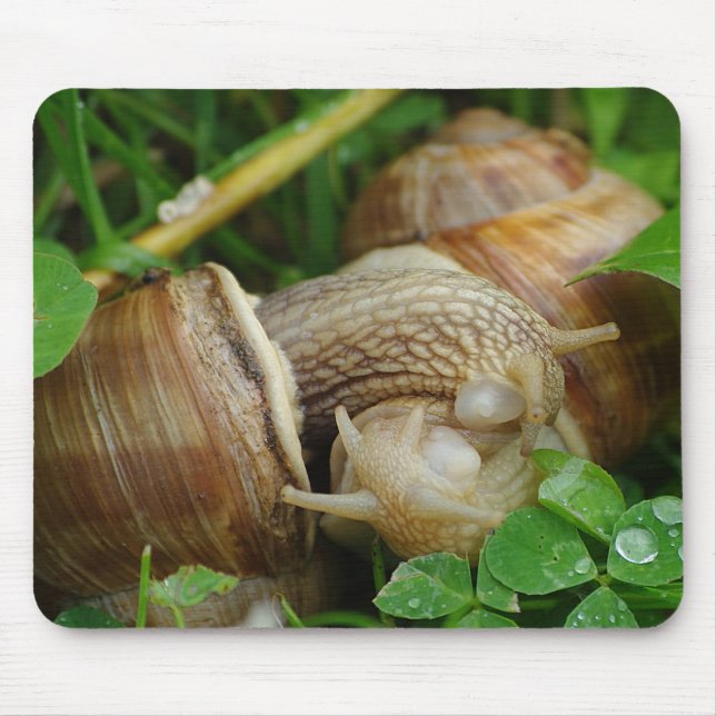 Snails Liebe Kiss Mousepad (Vorne)