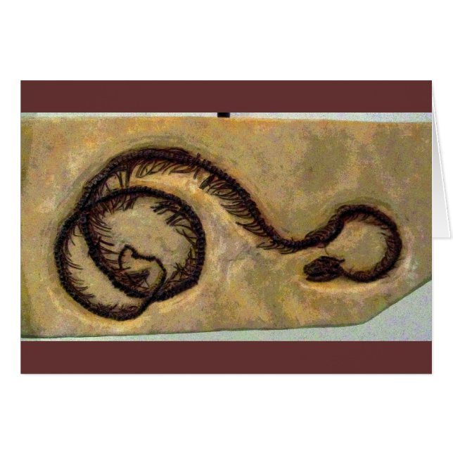 Snake Fossil CB (Vorderseite (Horizontal))