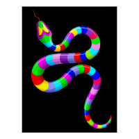 Snake Psychedelic Rainbow Colors