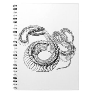 Snake Skeleton Notebook Notizblock