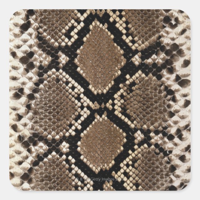 Snake Skin Quadratischer Aufkleber (Vorderseite)