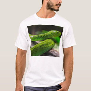 Snake… T-Shirt