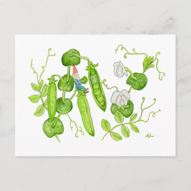 Snap Pea Gnome Postkarte (Vorderseite)