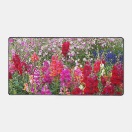 Snapdragon Coloré Jardin Floral
