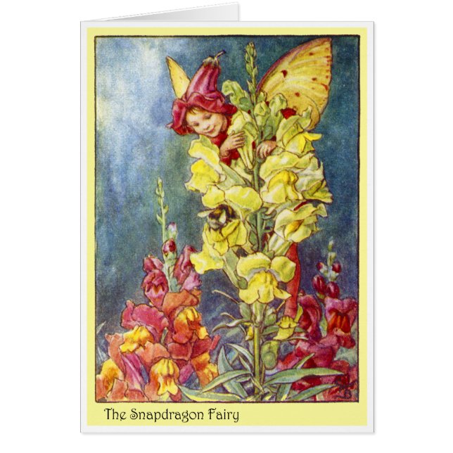 Snapdragon Fairy (Vorne)