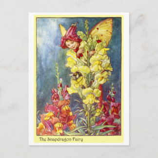 Snapdragon Fairy Postkarte