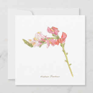 Snapdragon flache Karte