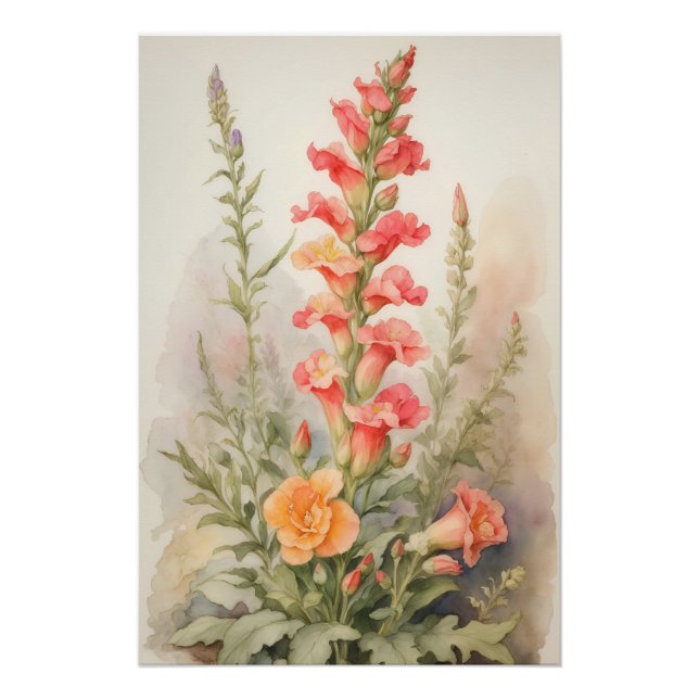 Snapdragon Splendor Poster (Vorderseite)