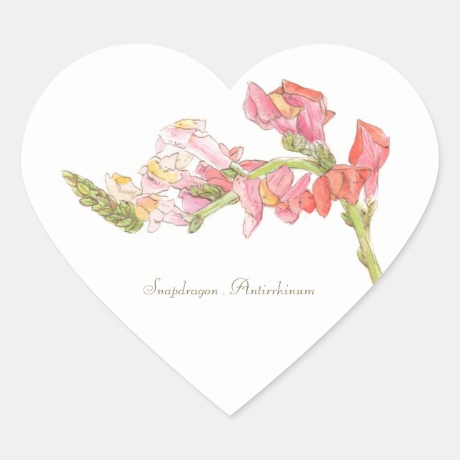 Snapdragon Sticker (Vorderseite)