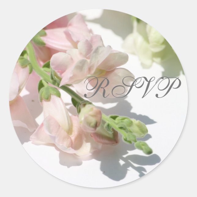 Snapdragon UAWG Sticker (Vorderseite)