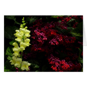 Snapdragon und Pagoda-Blume - farbenfrohe Blüte