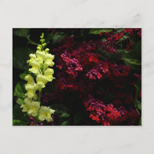 Snapdragon und Pagoda-Blume - farbenfrohe Blüte Postkarte