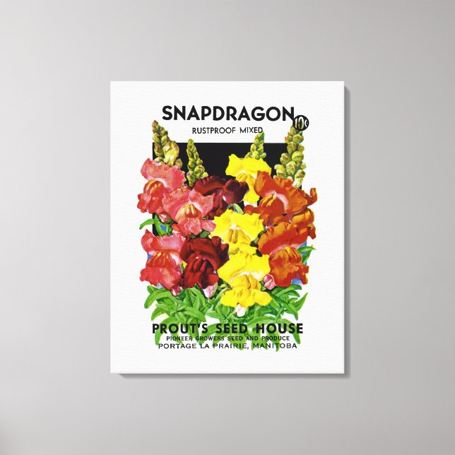 Snapdragon Vintag Seed Packet Leinwanddruck (Vorderseite)