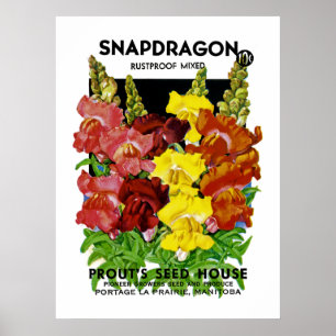 Snapdragon Vintag Seed Packet Poster