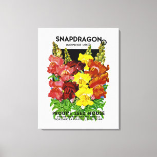Snapdragon Vintages Samen-Paket Leinwanddruck