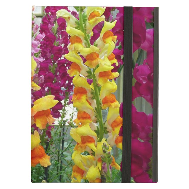 Snapdragons farbenfrohe Blüte (Vorderseite Geschlossen)