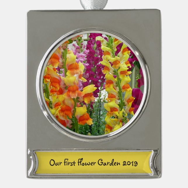 Snapdragons farbenfrohe Blüte Banner-Ornament Silber (Vorderseite)