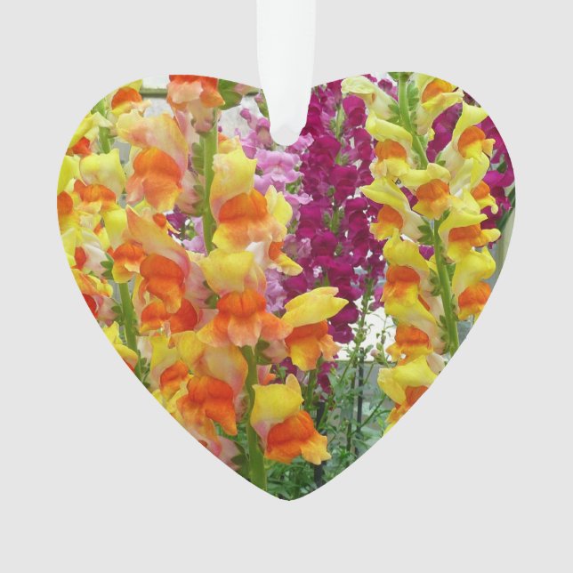 Snapdragons farbenfrohe Blüte Ornament (Vorderseite)