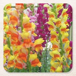Snapdragons farbenfrohe Blüte Rechteckiger Pappuntersetzer