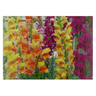 Snapdragons farbenfrohe Blüte Schneidebrett