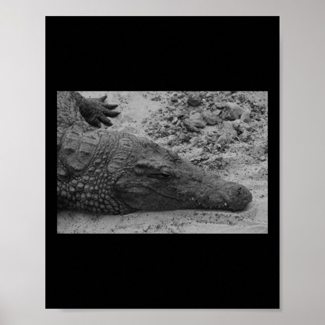 Snapper Croc Black und Weiß Spanien Vertikal Poster (Vorne)