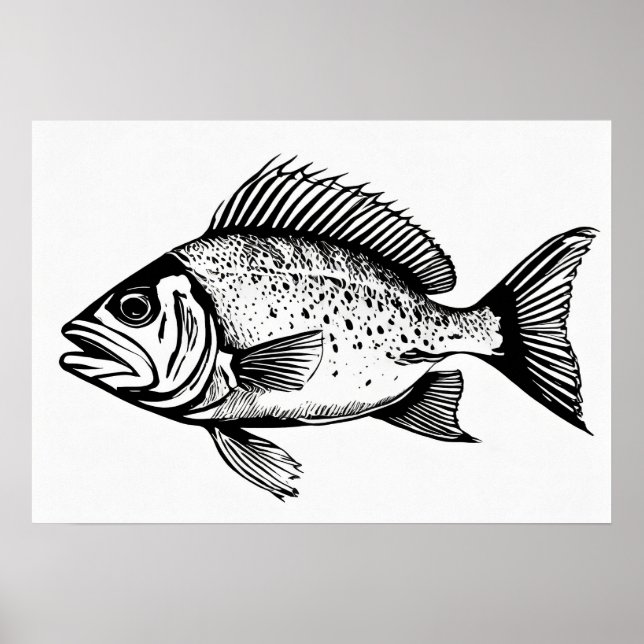 Snapper - Fischdrucker Poster (Vorne)