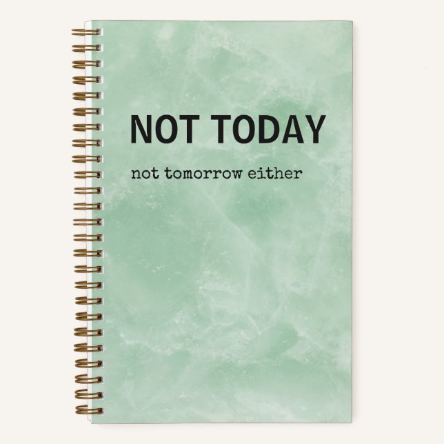 Snarky Journal | Nicht heute Notizbuch (Vorderseite)